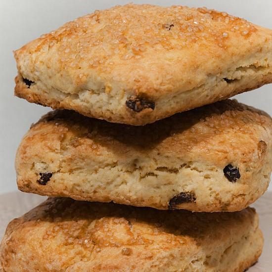 Rezeptbild: Englische Scones mit getrockneten Cranberries