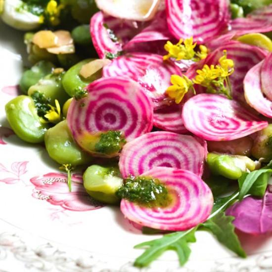 Rezeptbild: Salat aus Fave und Chioggia Bete