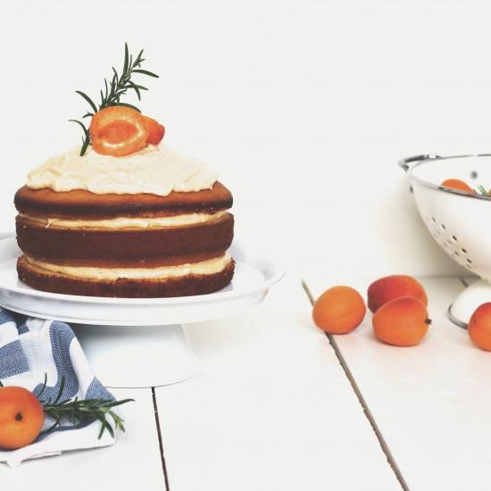 Rezeptbild: Feine Aprikosentorte