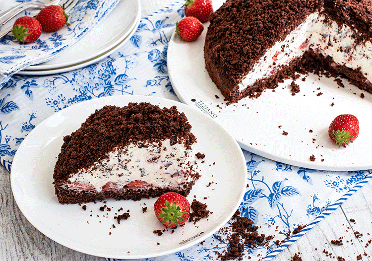 Rezeptbild: Maulwurfkuchen mit frischen Erdbeeren