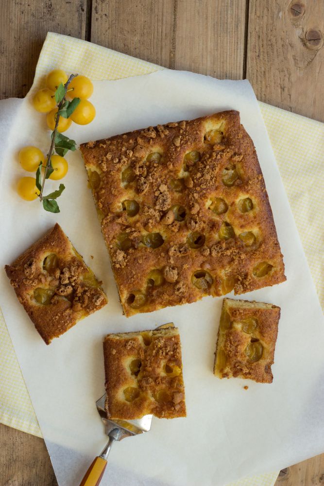 Rezeptbild: Mirabellenkuchen mit Amarettini
