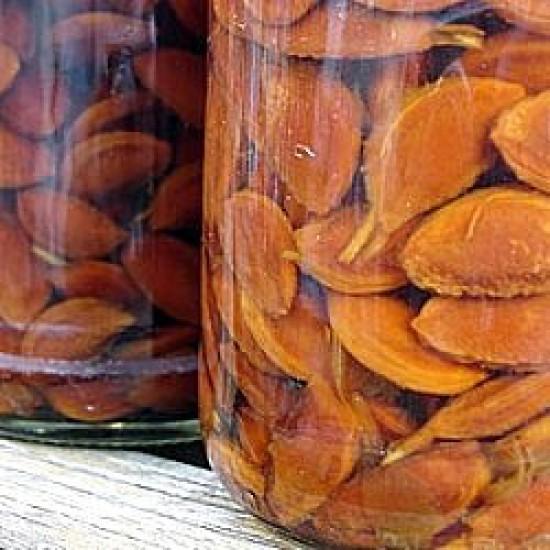 Rezeptbild: Zwetschgenlikör aus Zwetschgenkernen