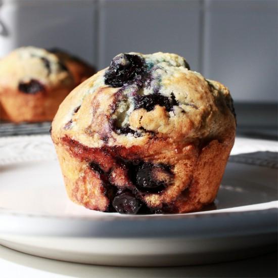 Rezeptbild: Blueberry Muffins – Blaubeer Muffins