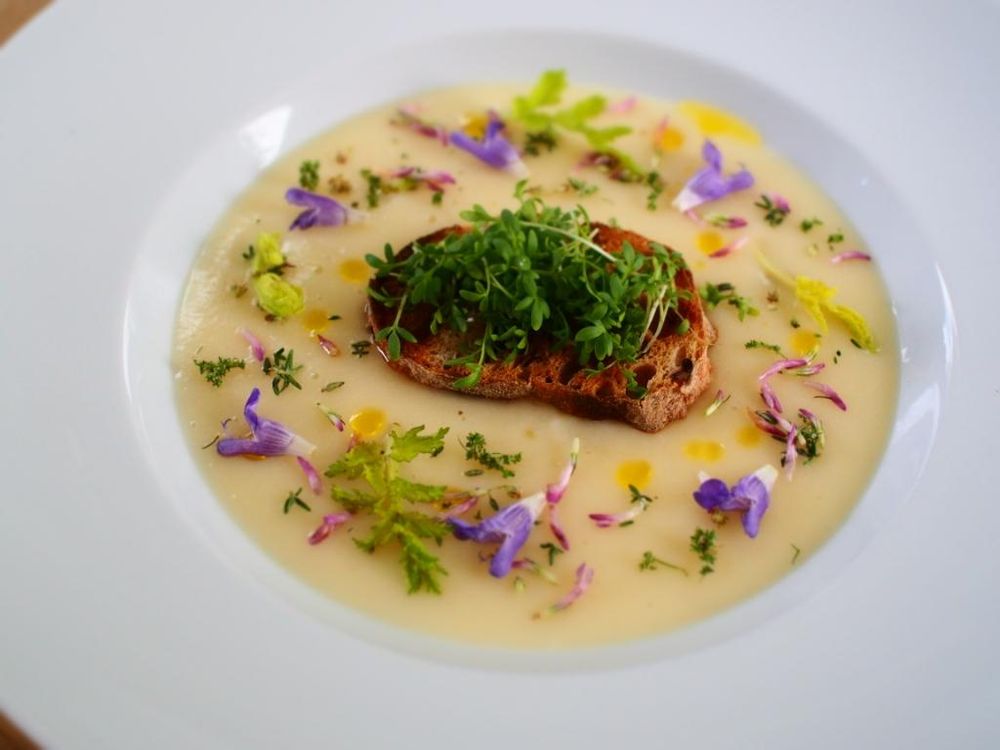 Rezeptbild: GEMÜSEPÜREE MIT ALLERLEI GRÜN