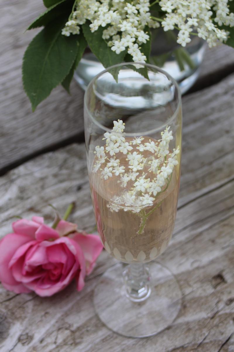 Rezeptbild: Holunderblütensirup & Hugo