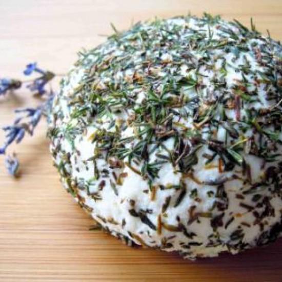 Rezeptbild: Ziegenfrischkäse selbstgemacht
