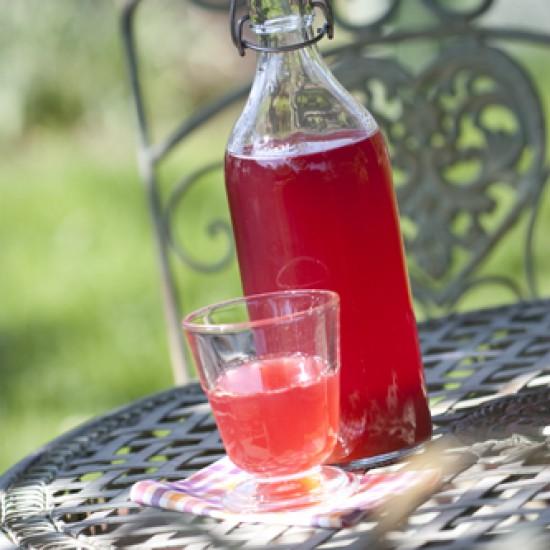 Rezeptbild: Fruchtig-süßer Rhabarbersirup