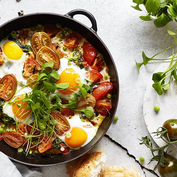 Rezeptbild: Tomaten Portulak Shakshuka