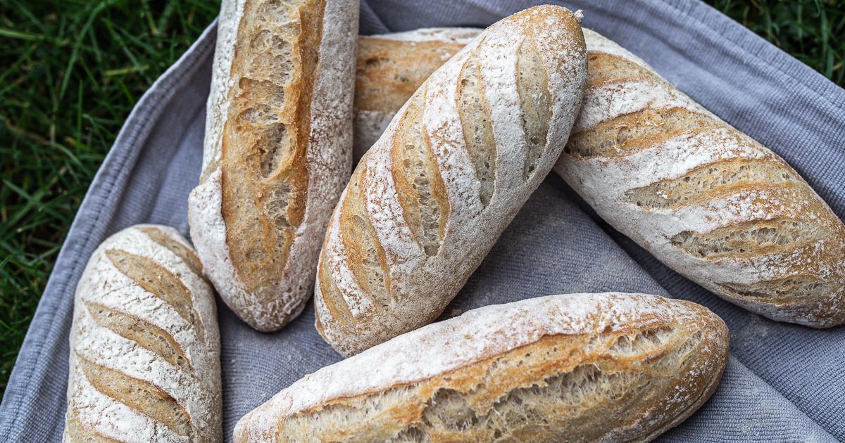 Rezeptbild: Feine Französische Brötchen mit Sauerteig