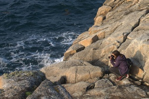 Profilbild von mosaiksteine-blog.de