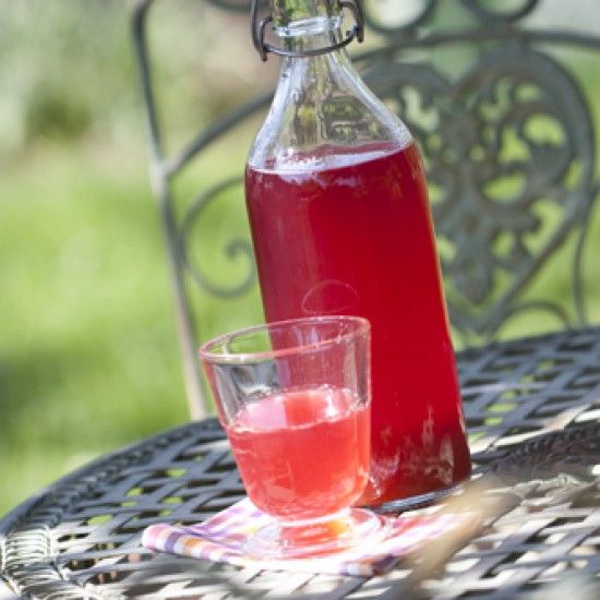 Rezeptbild: Fruchtig-süßer Rhabarbersirup