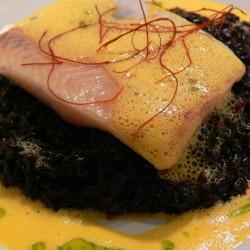 Rezeptbild: Confierter Saibling auf Venere-Risotto