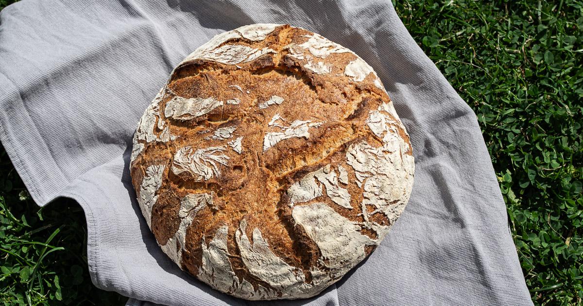 Rezeptbild: Joghurt-Bauernkruste