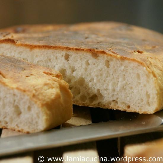 Rezeptbild: Joghurt Focaccia