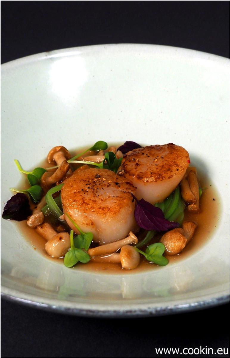Rezeptbild: Jakobsmuscheln im Shitake-Sud