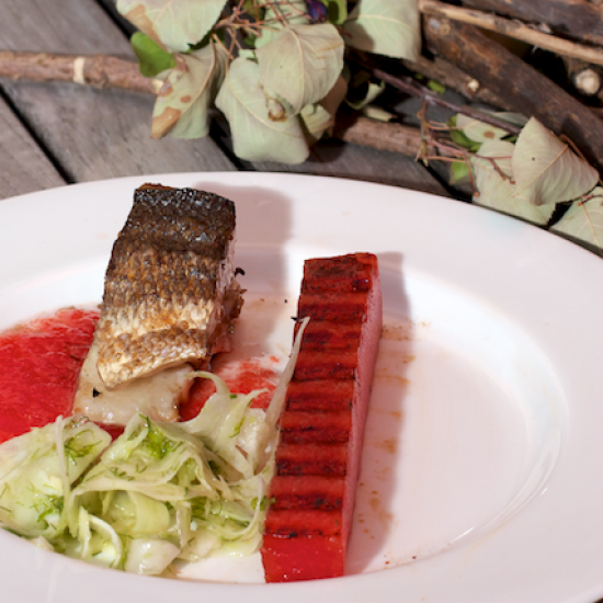Rezeptbild: Barsch, Fenchel und Wassermelone