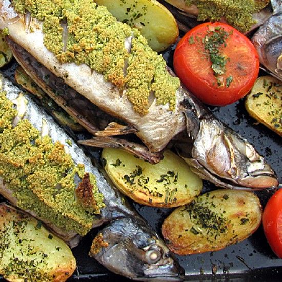 Rezeptbild: Makrele fusion baltisch-mediterran