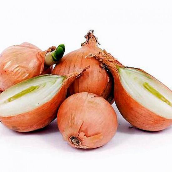 Rezeptbild: Küchenzwiebeln