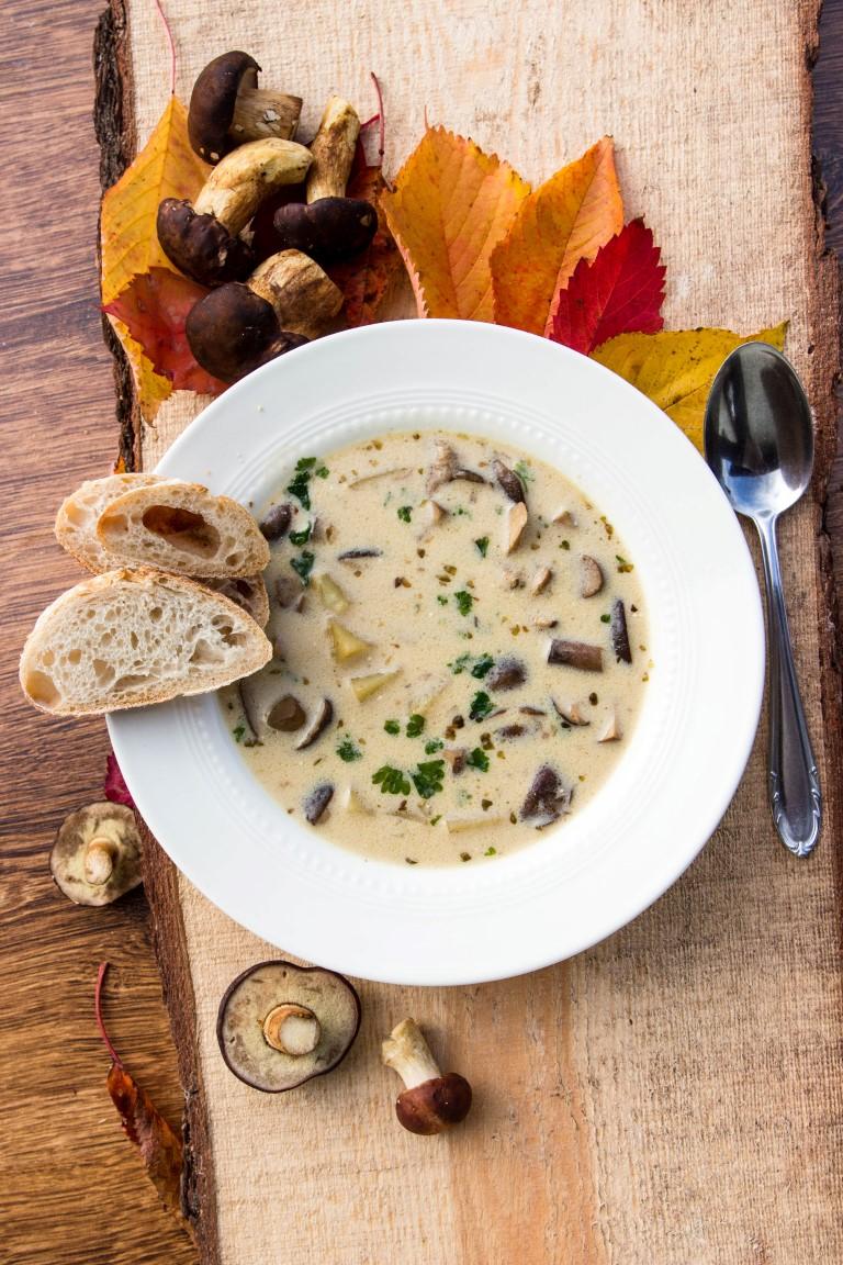 Rezeptbild: Pilzsuppe