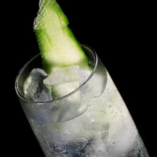 Rezeptbild: Gin Tonic mit Gurke