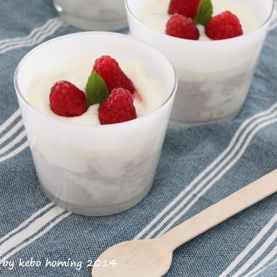 Rezeptbild: Himbeer-Holunder-Traum
