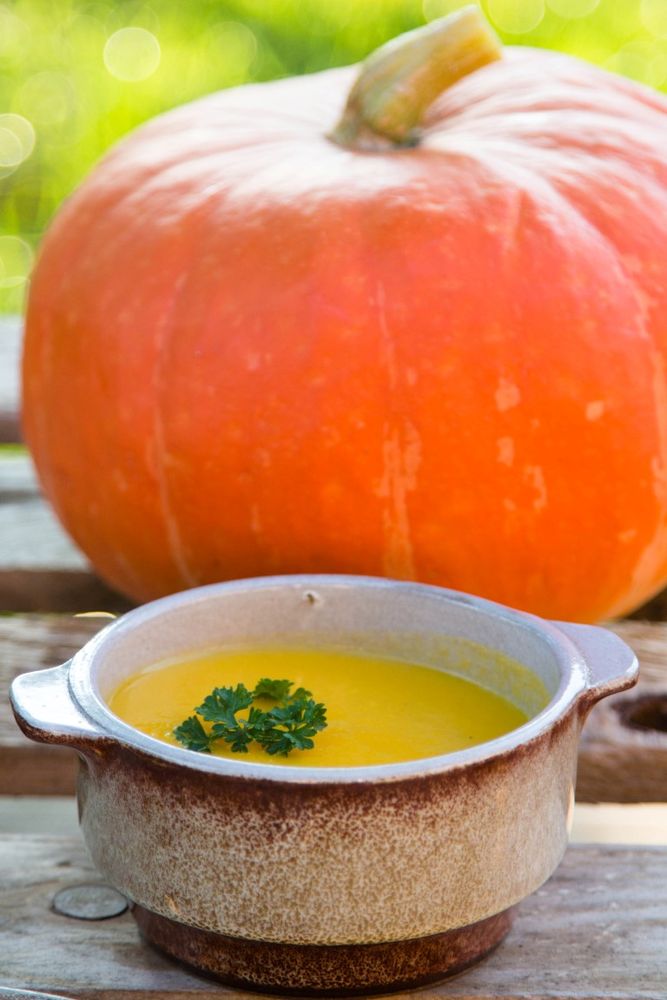 Rezeptbild: KÜRBISSUPPE MIT KOKOSMILCH UND INGWER