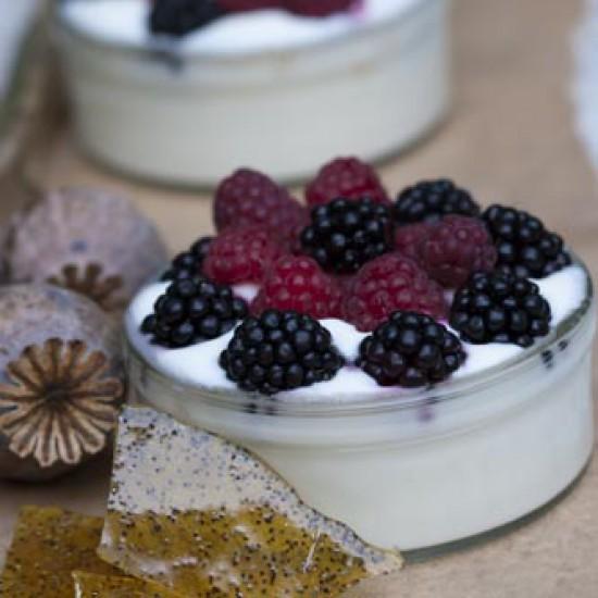 Rezeptbild: Joghurtbeeren mit Mohnkrokant