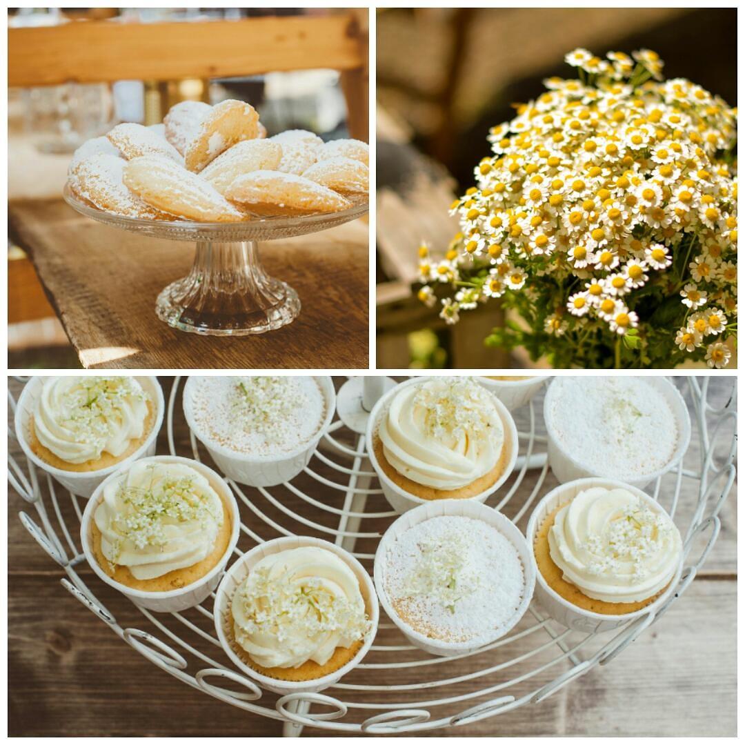 Rezeptbild: Elderflower Cupcakes & Apricot Madeleines