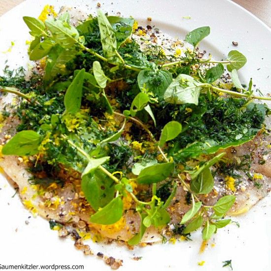 Rezeptbild: gebeizter Bachsaibling
