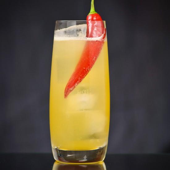 Rezeptbild: Hot Fizz