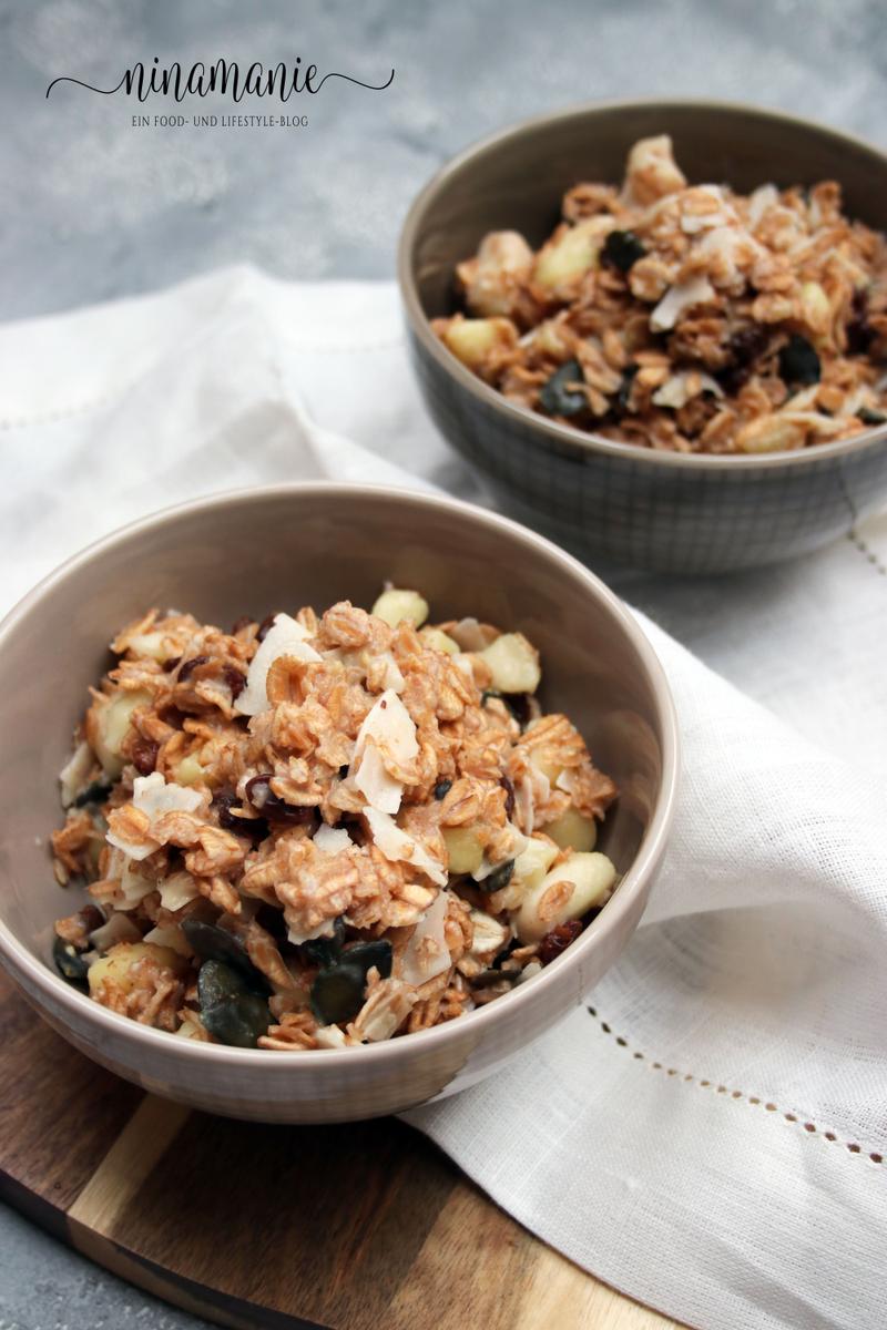 Rezeptbild: Dinkel-Porridge mit Apfel, Kokos-Chips und Rosinen