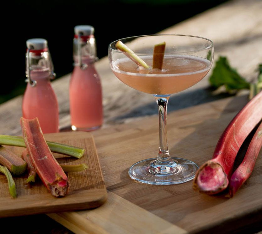 Rezeptbild: Rhabarber trifft Wachholder – Gincocktails für den Frühling