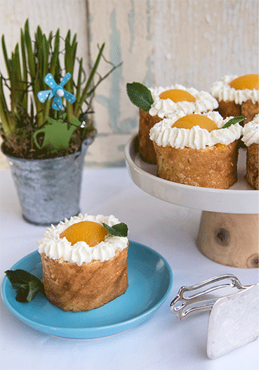 Rezeptbild: Aprikosen-Biskuitrolle im Spiegelei-Look