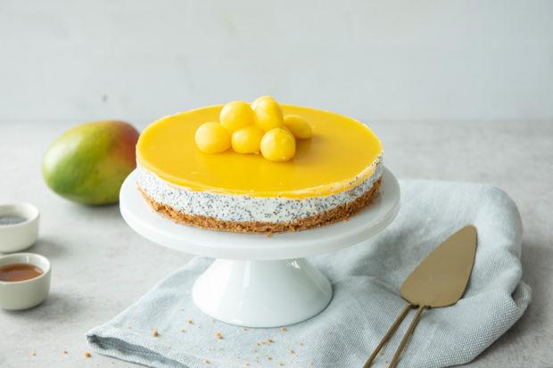 Rezeptbild: Protein-Mohn-Kuchen