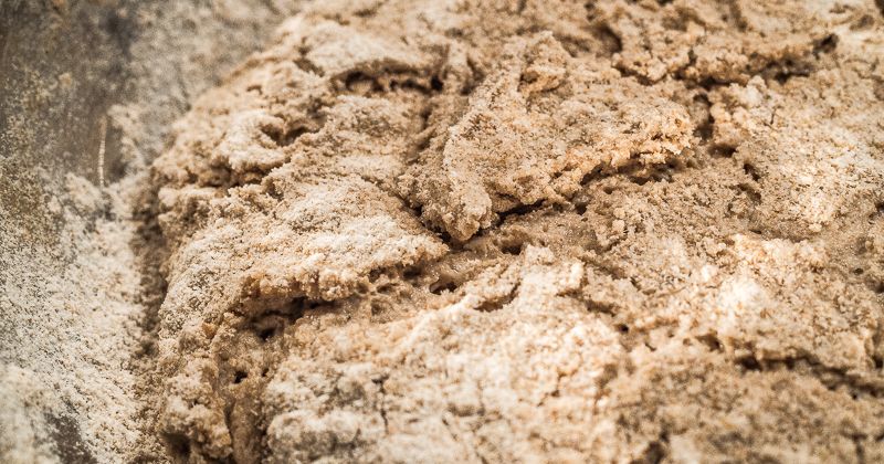 Rezeptbild: Sauerteig und Anstellgut heranziehen
