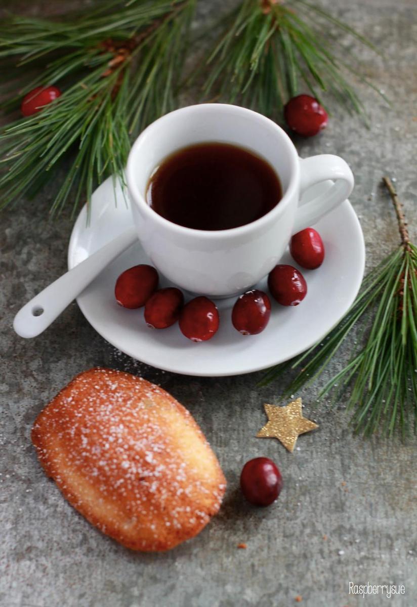 Rezeptbild: Cranberry Orangen Madeleines