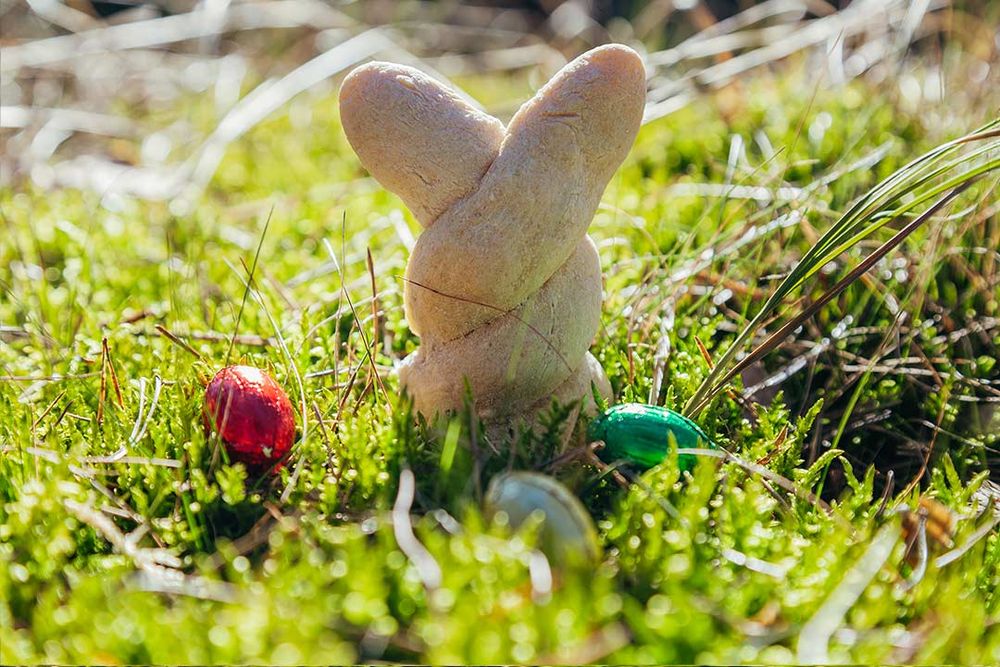 Rezeptbild: Ostern-Brötchen mit Polenta und Dinkelmehl - Hallo Hase!