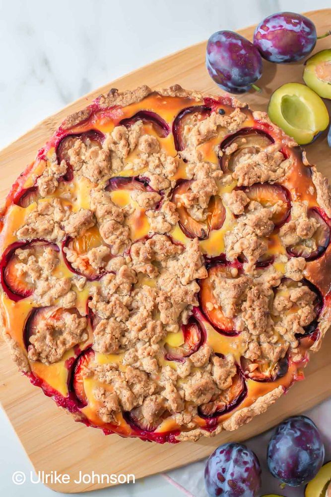 Rezeptbild: Zwetschgenkuchen mit Pudding