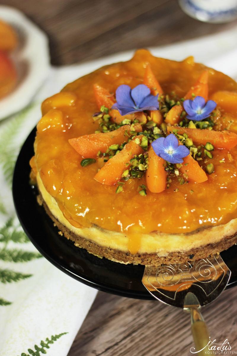 Rezeptbild: Pistaziencheesecake mit Aprikosen