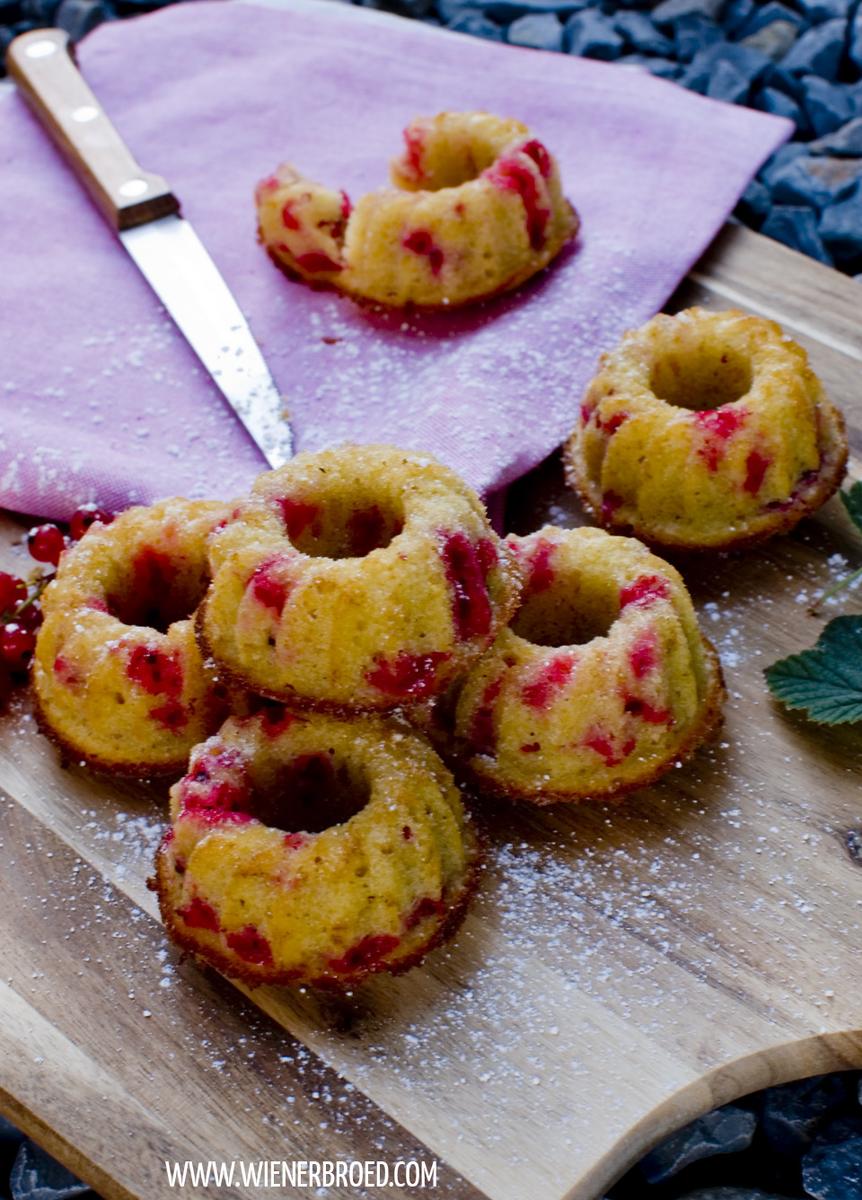 Rezeptbild: Johannisbeer-Vanille-Gugel