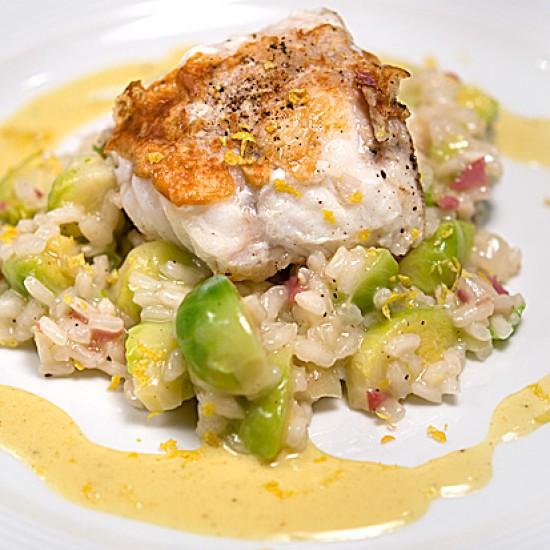Rezeptbild: Seeteufel-Medaillons mit Rosenkohl-Risotto und Senf-Sauce