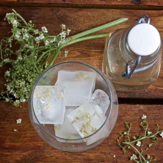 Rezeptbild: Holunderblüteneiswürfel
