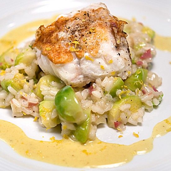Rezeptbild: Seeteufel-Medaillons mit Rosenkohl-Risotto und Senf-Sauce
