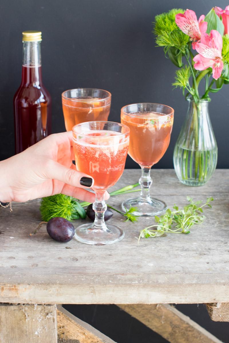 Rezeptbild: Plum Fizz