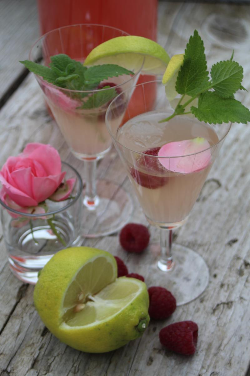 Rezeptbild: Rhabarberlikör