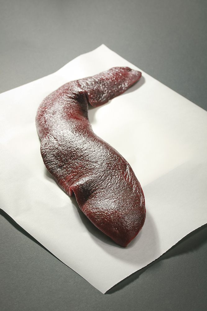 Rezeptbild: Mut zur Milz!