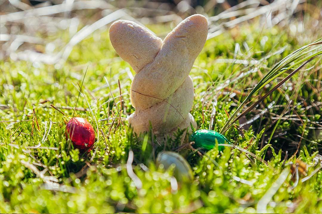 Rezeptbild: Ostern-Brötchen mit Polenta und Dinkelmehl - Hallo Hase!