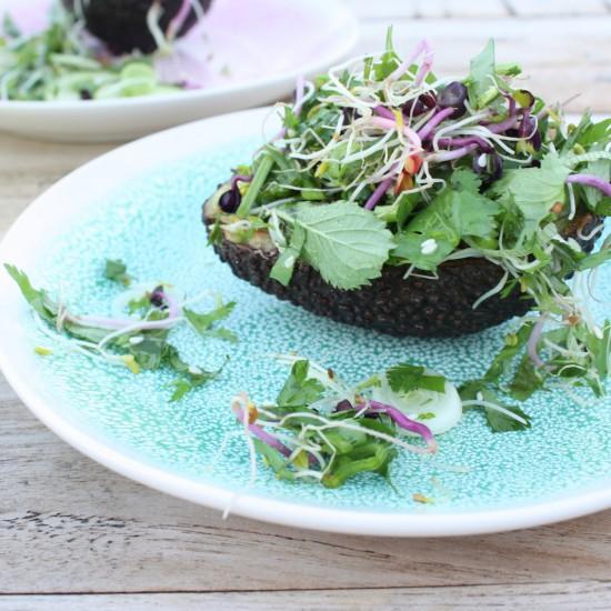 Rezeptbild: Grillierte Avocado mit Kräuter-Sprossen-Salat