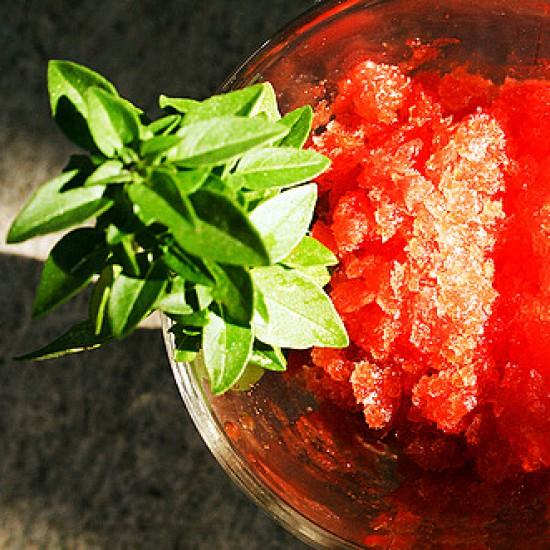 Rezeptbild: Tomaten Granita mit karamelisiertem Rosmarin und Ouzo