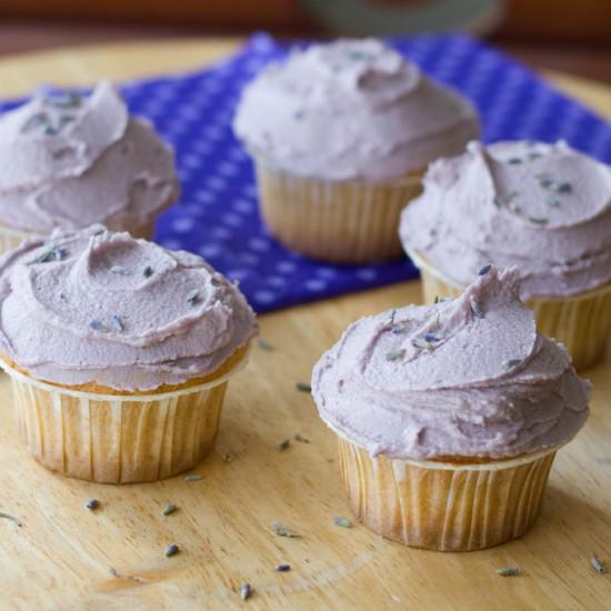 Rezeptbild: Lavendel-Cupcakes